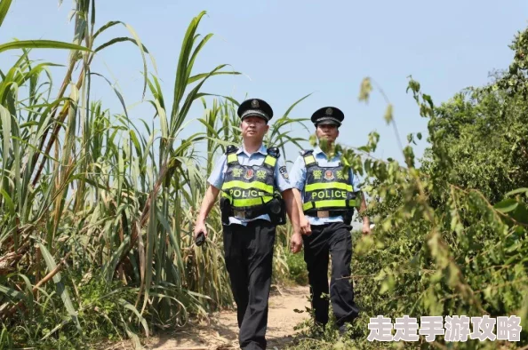 夜夜艹日日干 这部作品以其独特的视角和生动的情节吸引了众多读者 是一部值得一看的精彩之作