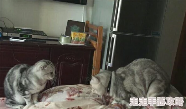 男女用力嘿咻嘿咻抽搐动态图 这组动态图真是让人目不转睛，生动展现了两性之间的激情与默契，令人感受到强烈的情感共鸣