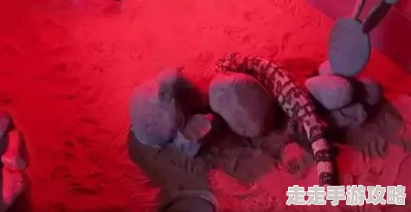 禁脔h道具电击穿环 这款道具设计独特，使用时刺激感十足，适合喜欢尝试新鲜事物的朋友们，非常推荐！