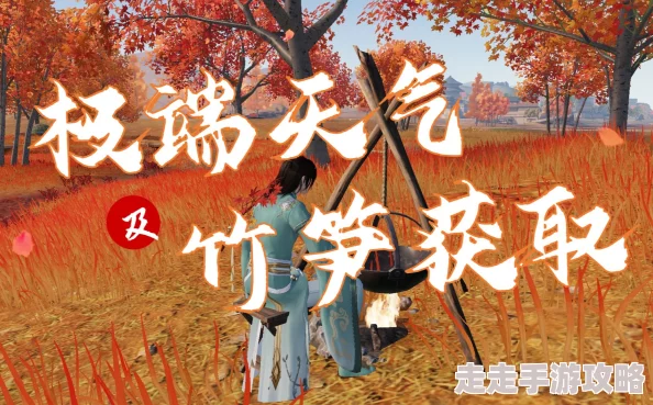 天涯明月刀手游：雷雨天高效挖掘竹笋详尽攻略，步步引领探寻自然奇妙宝藏