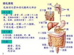 最佳选择的dnf传说装备：哪个部位分解能获得最高价值材料？