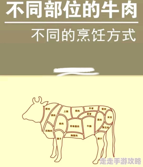 最佳选择的dnf传说装备：哪个部位分解能获得最高价值材料？